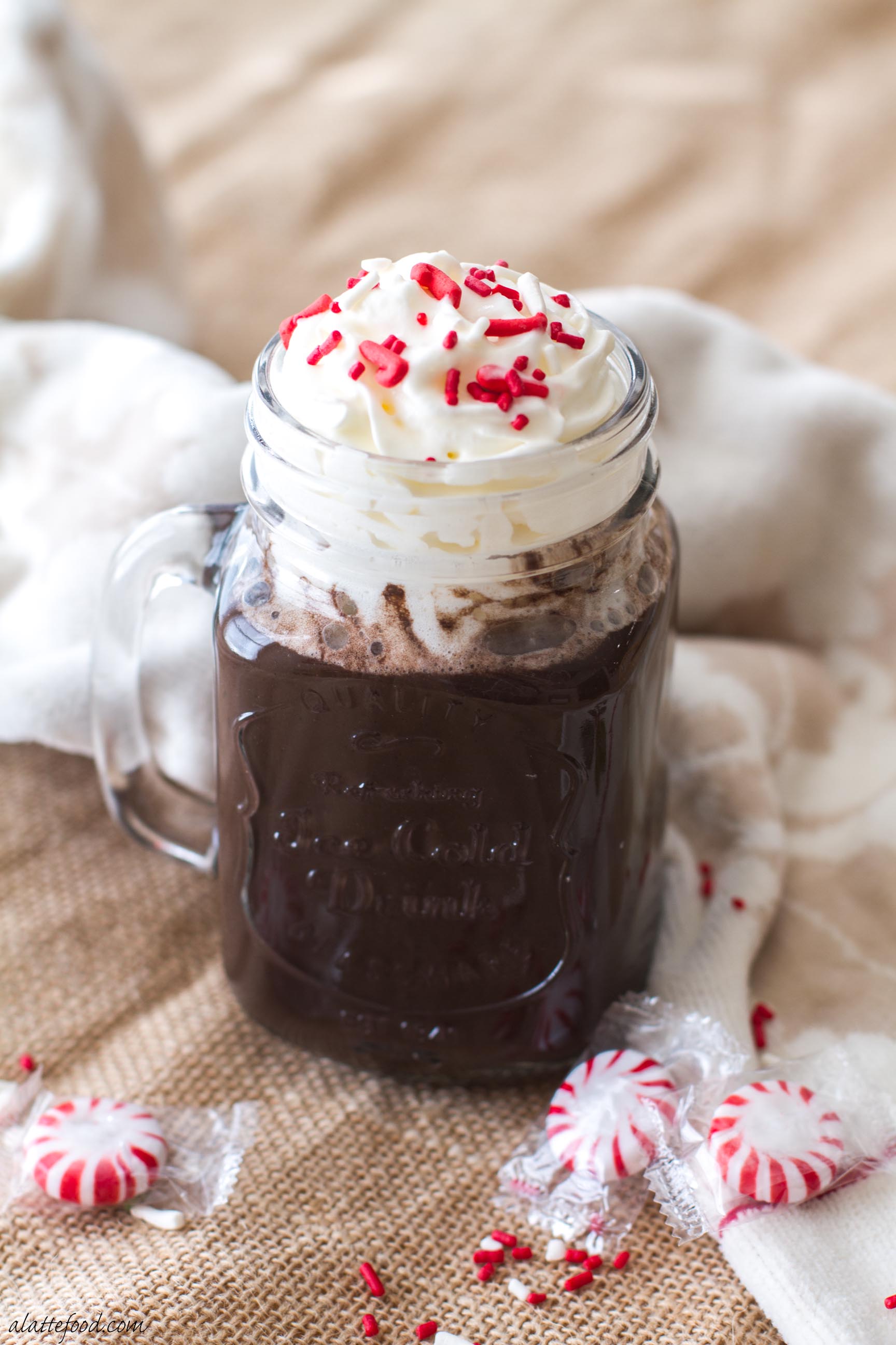 {4-ingredient} Peppermint Hot Chocolate - A Latte Food